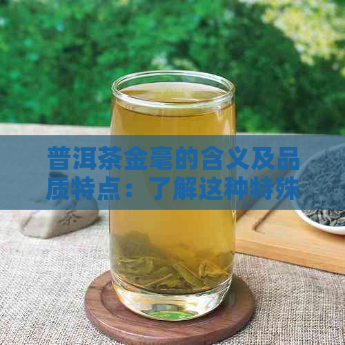 普洱茶金毫的含义及品质特点：了解这种特殊品种的全方位指南