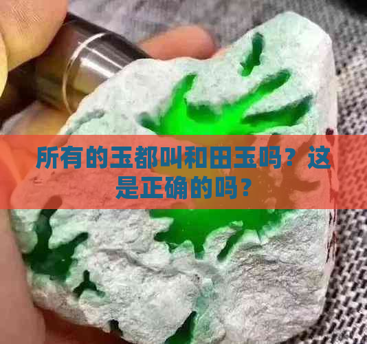 所有的玉都叫和田玉吗？这是正确的吗？