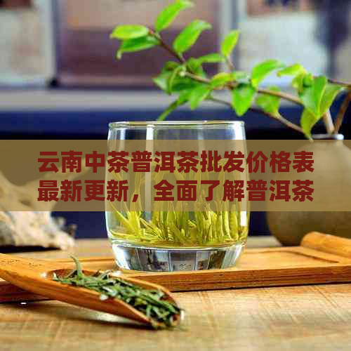 云南中茶普洱茶批发价格表最新更新，全面了解普洱茶市场行情与价格走向