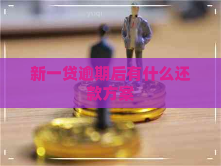 新一贷逾期后有什么还款方案