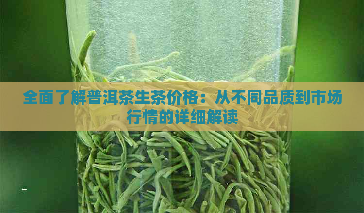 全面了解普洱茶生茶价格：从不同品质到市场行情的详细解读