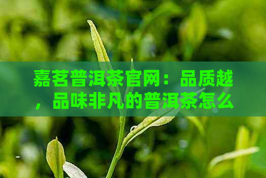 嘉茗普洱茶官网：品质越，品味非凡的普洱茶怎么样？