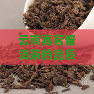 云南嘉茗普洱茶的品质与口感体验，值得一品！