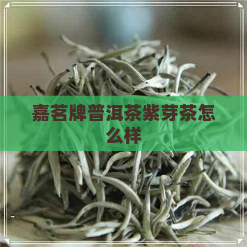 嘉茗牌普洱茶紫芽茶怎么样