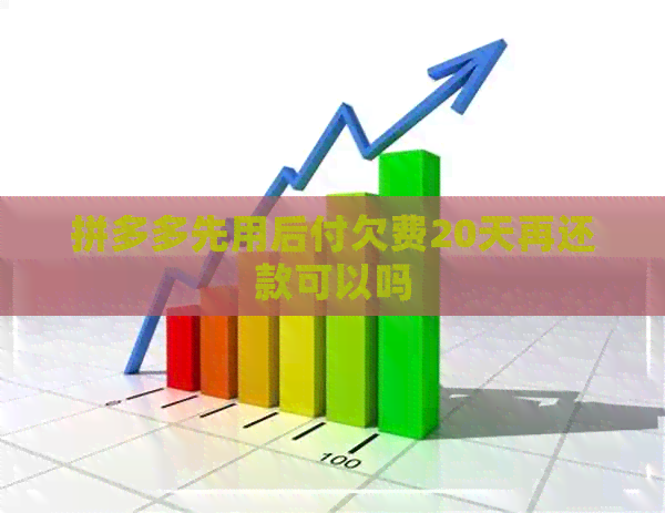 拼多多先用后付欠费20天再还款可以吗