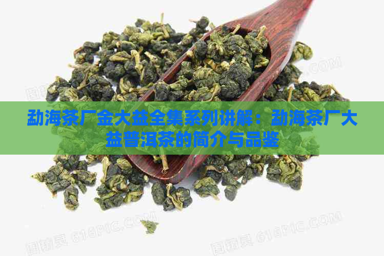 勐海茶厂金大益全集系列讲解：勐海茶厂大益普洱茶的简介与品鉴