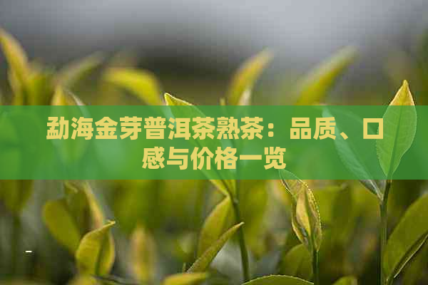 勐海金芽普洱茶熟茶：品质、口感与价格一览