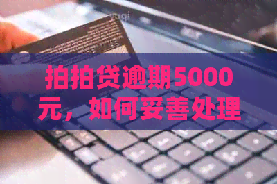 逾期5000元，如何妥善处理还款问题和避免进一步损失？