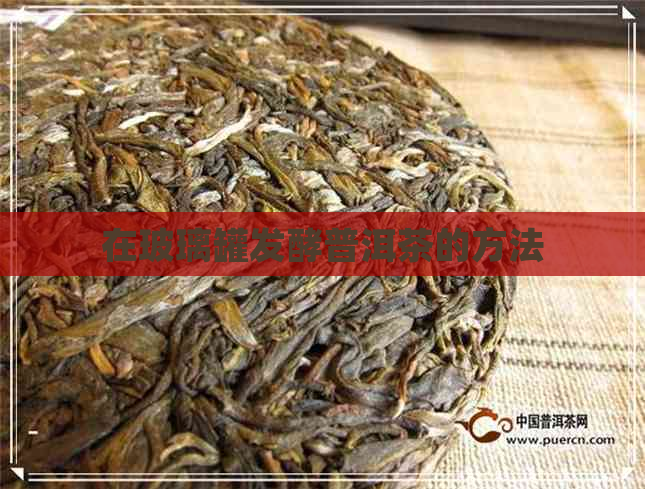 在玻璃罐发酵普洱茶的方法