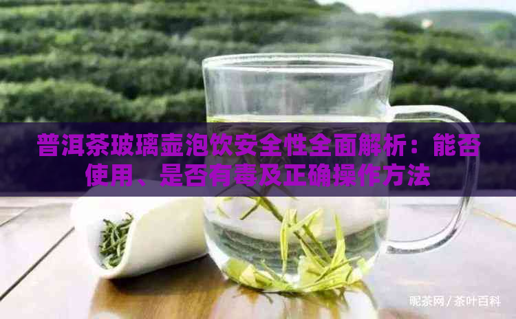 普洱茶玻璃壶泡饮安全性全面解析：能否使用、是否有及正确操作方法