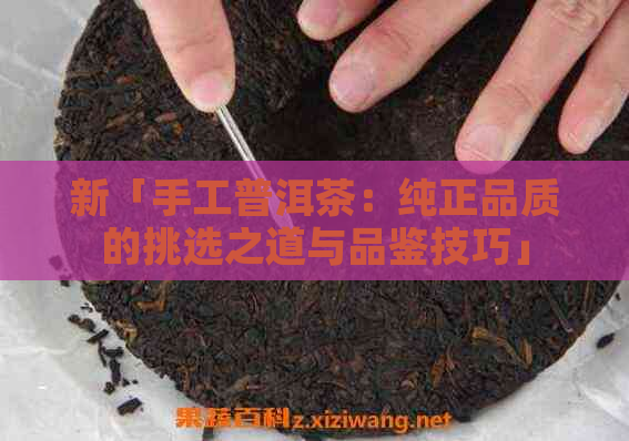 新「手工普洱茶：纯正品质的挑选之道与品鉴技巧」