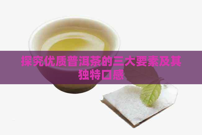 探究优质普洱茶的三大要素及其独特口感