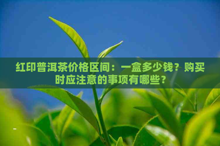 红印普洱茶价格区间：一盒多少钱？购买时应注意的事项有哪些？