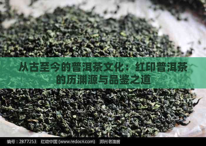 从古至今的普洱茶文化：红印普洱茶的历渊源与品鉴之道