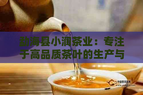 勐海县小润茶业：专注于高品质茶叶的生产与销售