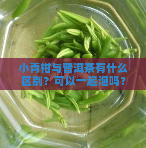 小青柑与普洱茶有什么区别？可以一起泡吗？