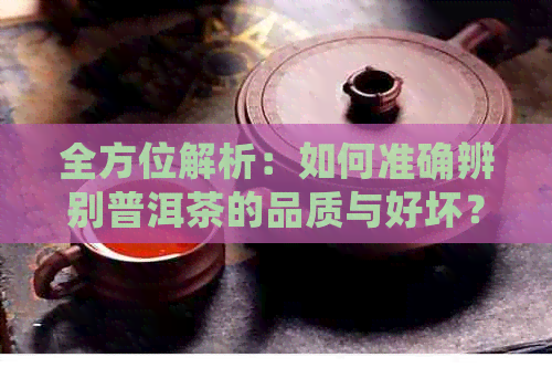 全方位解析：如何准确辨别普洱茶的品质与好坏？