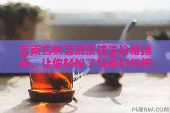 云南古树普洱茶精选价格指南，让你轻松了解最新行情