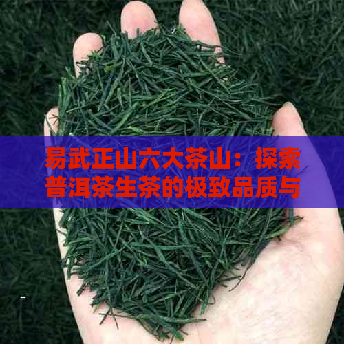 易武正山六大茶山：探索普洱茶生茶的极致品质与独特风味