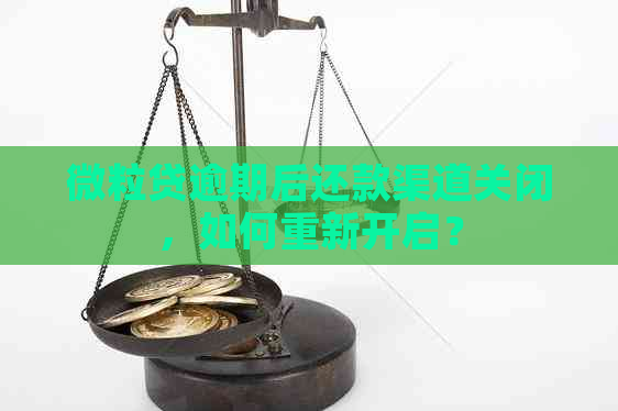 微立贷逾期后还款渠道关闭，如何重新开启？