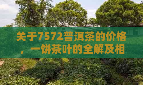 关于7572普洱茶的价格，一饼茶叶的全解及相关因素分析