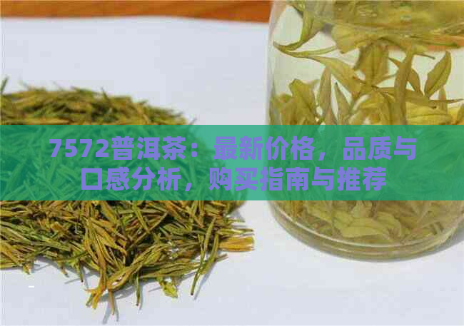 7572普洱茶：最新价格，品质与口感分析，购买指南与推荐