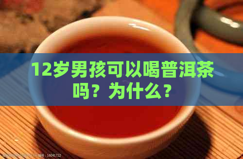 12岁男孩可以喝普洱茶吗？为什么？