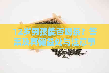 12岁男孩能否喝茶？答案及其健益处与注意事项解析