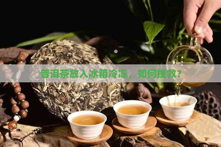 普洱茶放入冰箱冷冻，如何挽救？