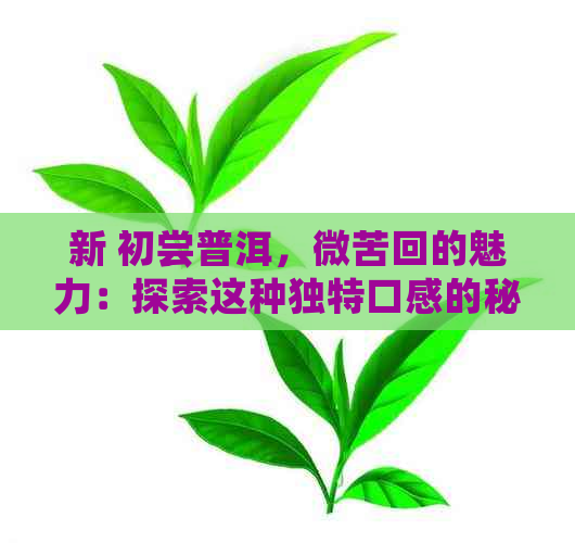 新 初尝普洱，微苦回的魅力：探索这种独特口感的秘密