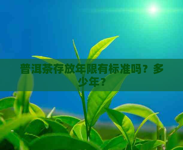 普洱茶存放年限有标准吗？多少年？