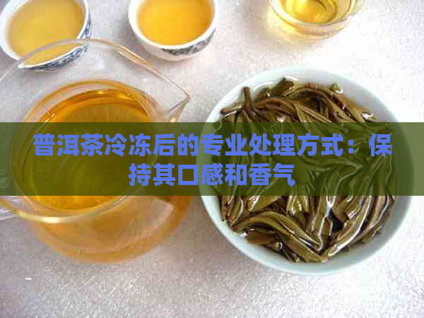 普洱茶冷冻后的专业处理方式：保持其口感和香气