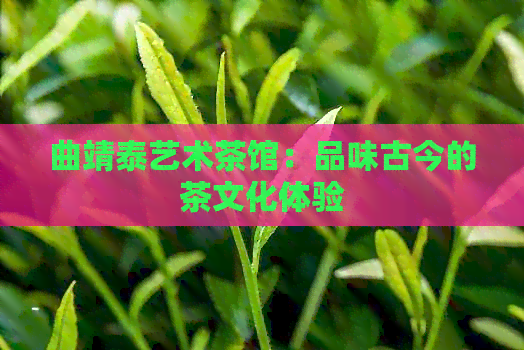 曲靖泰艺术茶馆：品味古今的茶文化体验