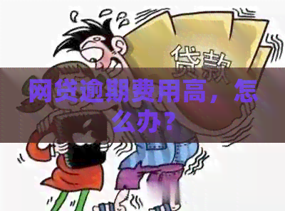 网贷逾期费用高，怎么办？