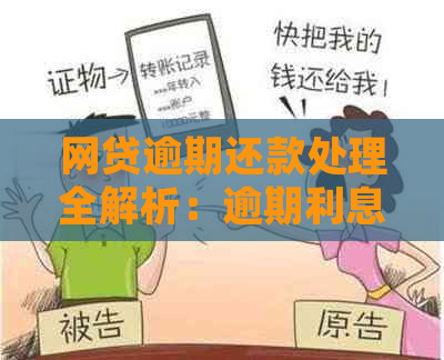 网贷逾期还款处理全解析：逾期利息、罚息、滞纳金如何计算与扣费？