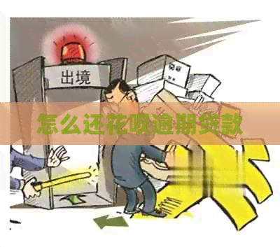 怎么还花呗逾期贷款