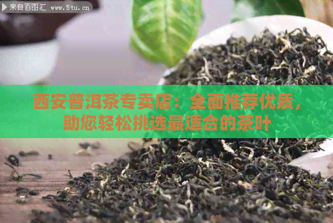 西安普洱茶专卖店：全面推荐优质，助您轻松挑选最适合的茶叶