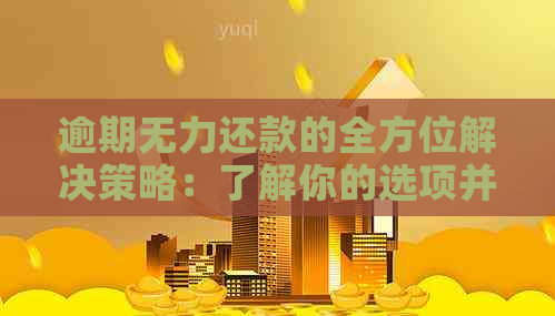 逾期无力还款的全方位解决策略：了解你的选项并采取行动