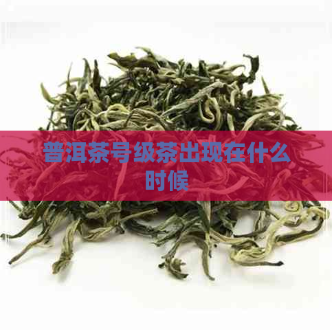 普洱茶号级茶出现在什么时候