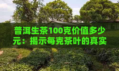 普洱生茶100克价值多少元：揭示每克茶叶的真实价值