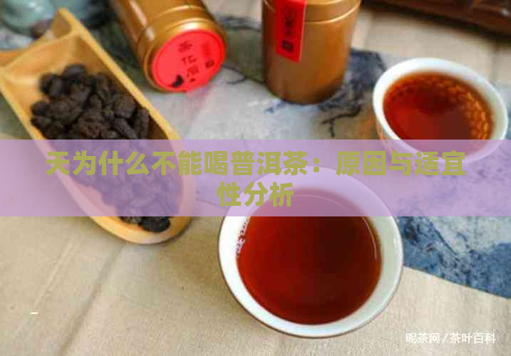 天为什么不能喝普洱茶：原因与适宜性分析