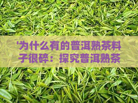 '为什么有的普洱熟茶料子很碎：探究普洱熟茶的品质差异'