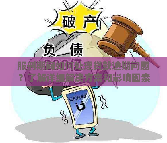 服刑期间如何处理贷款逾期问题？了解详细解决方案和影响因素