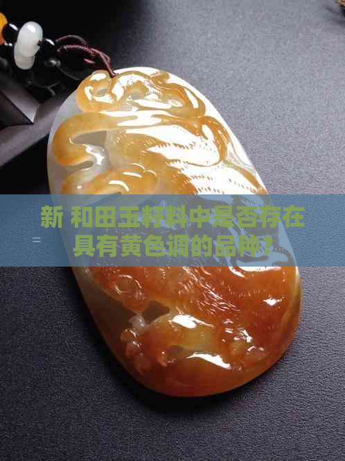 新 和田玉籽料中是否存在具有黄色调的品种？