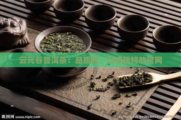 云元谷普洱茶：品质越，口感独特的官网