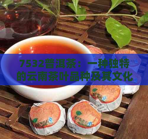 7532普洱茶：一种独特的云南茶叶品种及其文化内涵解读