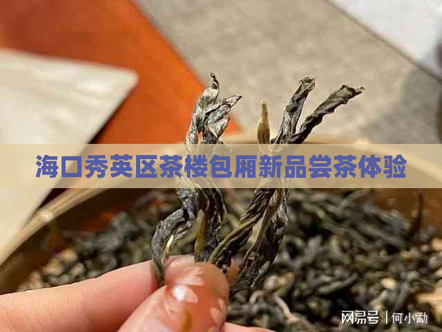 海口秀英区茶楼包厢新品尝茶体验