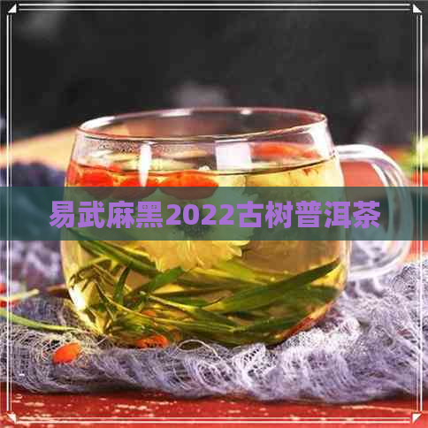 易武麻黑2022古树普洱茶