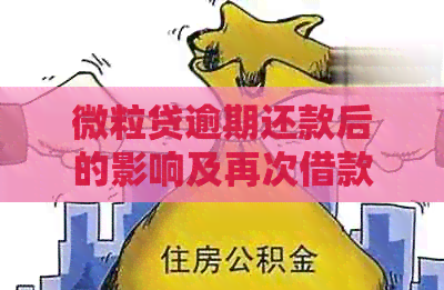 微立贷逾期还款后的影响及再次借款的可能性：安全性分析