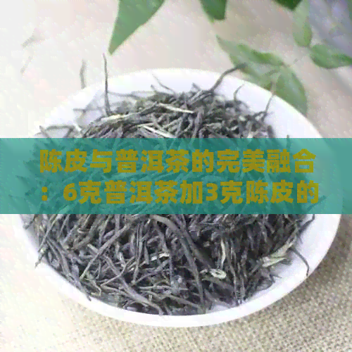 陈皮与普洱茶的完美融合：6克普洱茶加3克陈皮的健益处解析